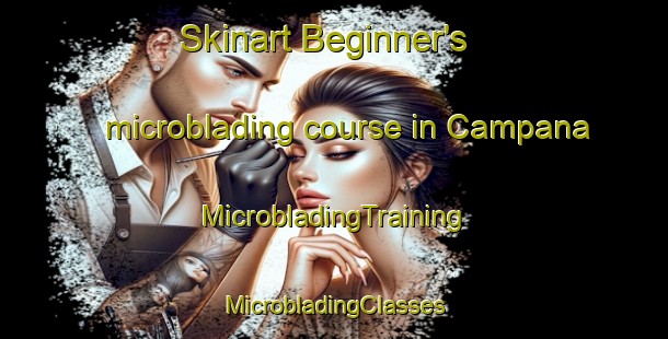 Skinart Beginner's microblading course in Campana | #MicrobladingTraining #MicrobladingClasses #SkinartTraining-France