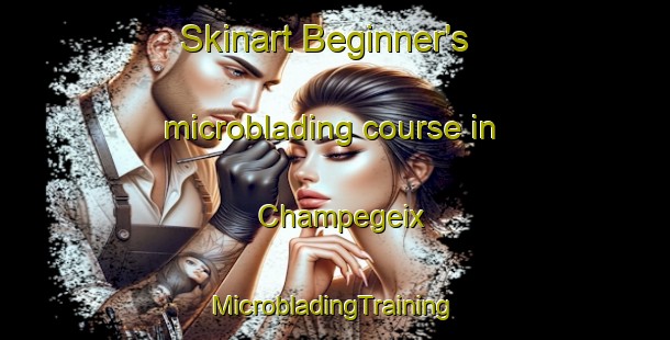 Skinart Beginner's microblading course in Champegeix | #MicrobladingTraining #MicrobladingClasses #SkinartTraining-France