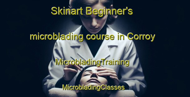 Skinart Beginner's microblading course in Corroy | MicrobladingTraining | MicrobladingClasses | SkinartTraining-France