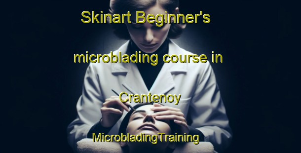 Skinart Beginner's microblading course in Crantenoy | MicrobladingTraining | MicrobladingClasses | SkinartTraining-France