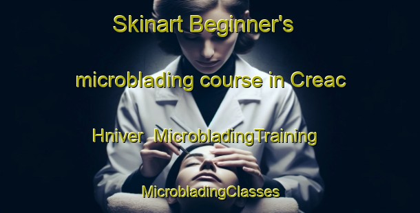 Skinart Beginner's microblading course in Creac Hniver | #MicrobladingTraining #MicrobladingClasses #SkinartTraining-France