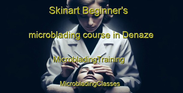 Skinart Beginner's microblading course in Denaze | MicrobladingTraining | MicrobladingClasses | SkinartTraining-France