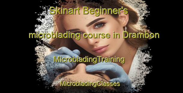 Skinart Beginner's microblading course in Drambon | MicrobladingTraining | MicrobladingClasses | SkinartTraining-France