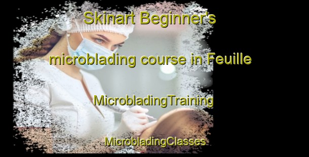 Skinart Beginner's microblading course in Feuille | #MicrobladingTraining #MicrobladingClasses #SkinartTraining-France