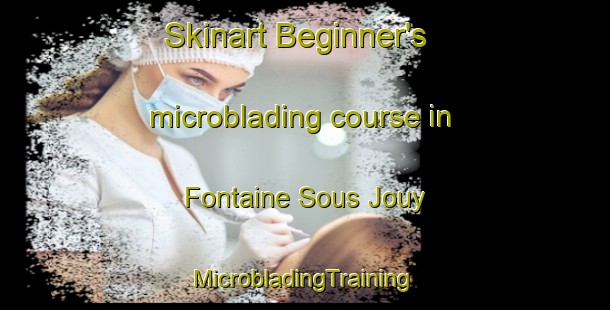 Skinart Beginner's microblading course in Fontaine Sous Jouy | #MicrobladingTraining #MicrobladingClasses #SkinartTraining-France