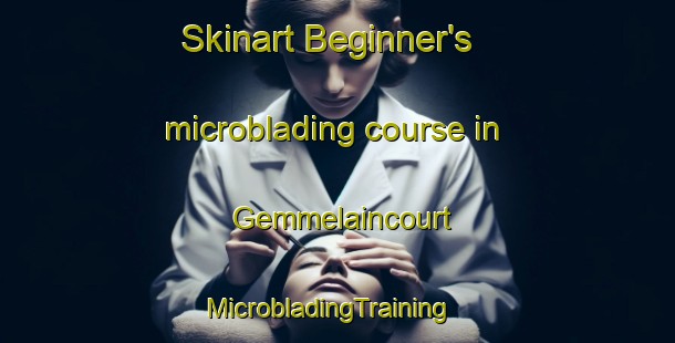 Skinart Beginner's microblading course in Gemmelaincourt | MicrobladingTraining | MicrobladingClasses | SkinartTraining-France