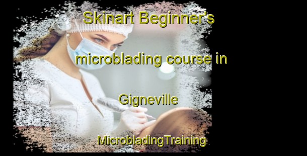 Skinart Beginner's microblading course in Gigneville | #MicrobladingTraining #MicrobladingClasses #SkinartTraining-France