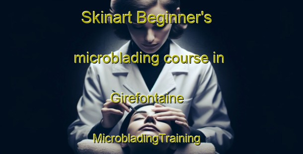 Skinart Beginner's microblading course in Girefontaine | MicrobladingTraining | MicrobladingClasses | SkinartTraining-France