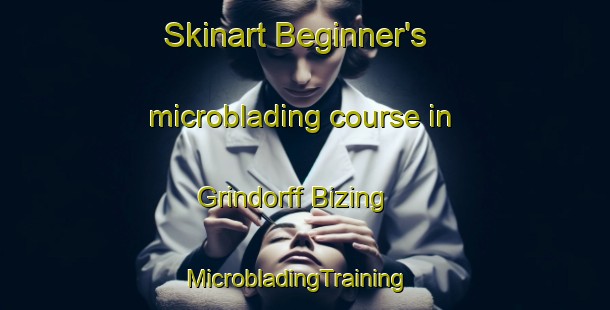 Skinart Beginner's microblading course in Grindorff Bizing | MicrobladingTraining | MicrobladingClasses | SkinartTraining-France