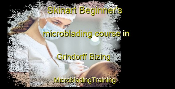Skinart Beginner's microblading course in Grindorff Bizing | MicrobladingTraining | MicrobladingClasses | SkinartTraining-France
