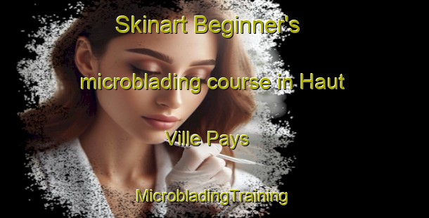 Skinart Beginner's microblading course in Haut Ville Pays | #MicrobladingTraining #MicrobladingClasses #SkinartTraining-France