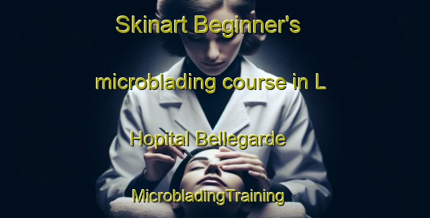 Skinart Beginner's microblading course in L Hopital Bellegarde | MicrobladingTraining | MicrobladingClasses | SkinartTraining-France