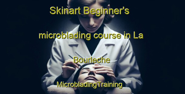 Skinart Beginner's microblading course in La Bourleche | MicrobladingTraining | MicrobladingClasses | SkinartTraining-France