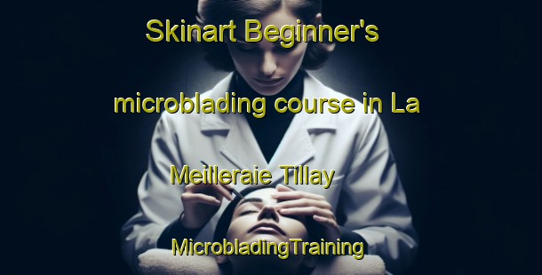 Skinart Beginner's microblading course in La Meilleraie Tillay | #MicrobladingTraining #MicrobladingClasses #SkinartTraining-France