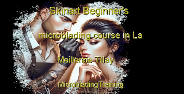 Skinart Beginner's microblading course in La Meilleraie Tillay | #MicrobladingTraining #MicrobladingClasses #SkinartTraining-France