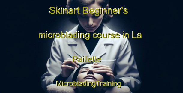 Skinart Beginner's microblading course in La Paillette | MicrobladingTraining | MicrobladingClasses | SkinartTraining-France