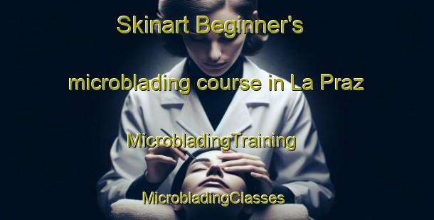 Skinart Beginner's microblading course in La Praz | MicrobladingTraining | MicrobladingClasses | SkinartTraining-France