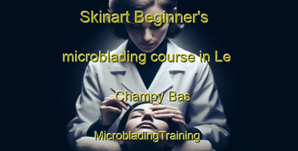 Skinart Beginner's microblading course in Le Champy Bas | #MicrobladingTraining #MicrobladingClasses #SkinartTraining-France