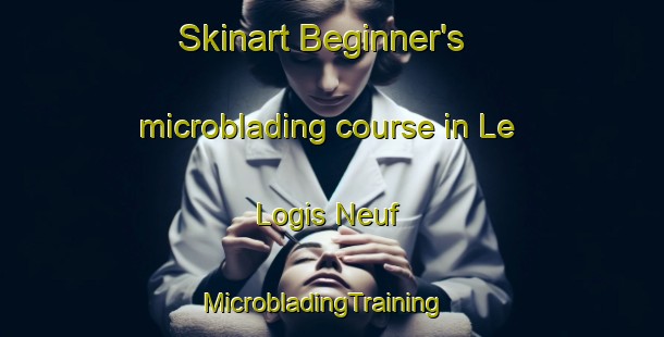 Skinart Beginner's microblading course in Le Logis Neuf | MicrobladingTraining | MicrobladingClasses | SkinartTraining-France