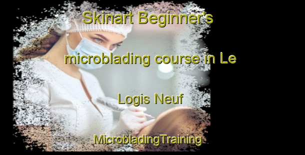 Skinart Beginner's microblading course in Le Logis Neuf | MicrobladingTraining | MicrobladingClasses | SkinartTraining-France