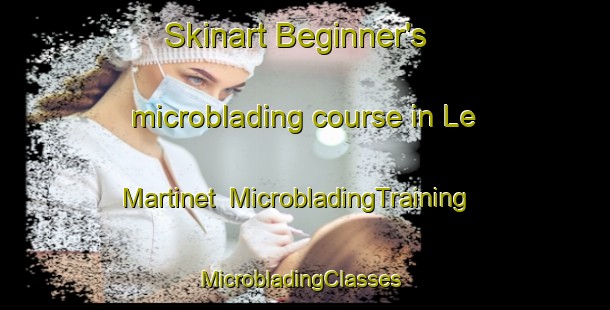 Skinart Beginner's microblading course in Le Martinet | MicrobladingTraining | MicrobladingClasses | SkinartTraining-France