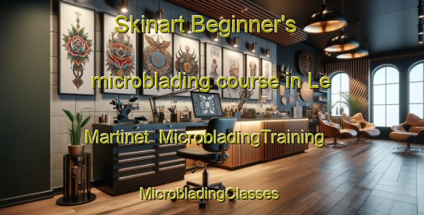Skinart Beginner's microblading course in Le Martinet | MicrobladingTraining | MicrobladingClasses | SkinartTraining-France