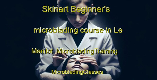 Skinart Beginner's microblading course in Le Menilot | MicrobladingTraining | MicrobladingClasses | SkinartTraining-France