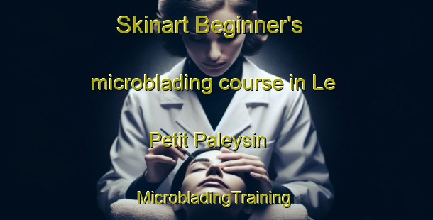 Skinart Beginner's microblading course in Le Petit Paleysin | #MicrobladingTraining #MicrobladingClasses #SkinartTraining-France