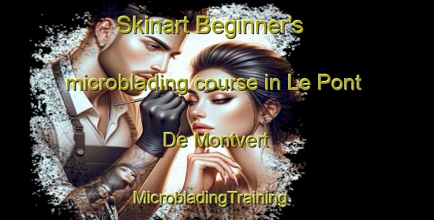 Skinart Beginner's microblading course in Le Pont De Montvert | MicrobladingTraining | MicrobladingClasses | SkinartTraining-France