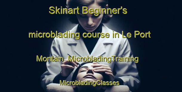 Skinart Beginner's microblading course in Le Port Montain | MicrobladingTraining | MicrobladingClasses | SkinartTraining-France