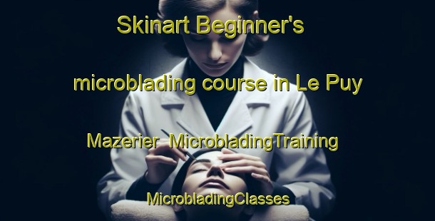 Skinart Beginner's microblading course in Le Puy Mazerier | #MicrobladingTraining #MicrobladingClasses #SkinartTraining-France