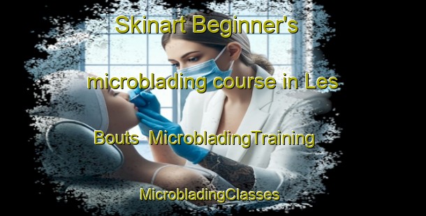 Skinart Beginner's microblading course in Les Bouts | MicrobladingTraining | MicrobladingClasses | SkinartTraining-France