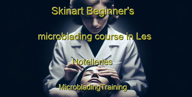 Skinart Beginner's microblading course in Les Hotelleries | MicrobladingTraining | MicrobladingClasses | SkinartTraining-France