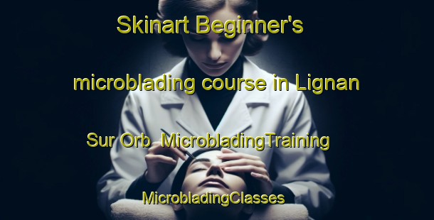 Skinart Beginner's microblading course in Lignan Sur Orb | MicrobladingTraining | MicrobladingClasses | SkinartTraining-France