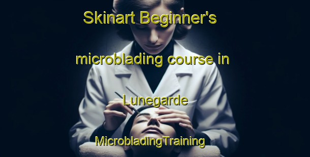 Skinart Beginner's microblading course in Lunegarde | MicrobladingTraining | MicrobladingClasses | SkinartTraining-France