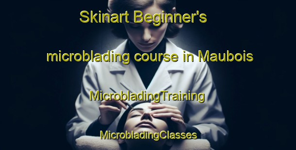 Skinart Beginner's microblading course in Maubois | #MicrobladingTraining #MicrobladingClasses #SkinartTraining-France