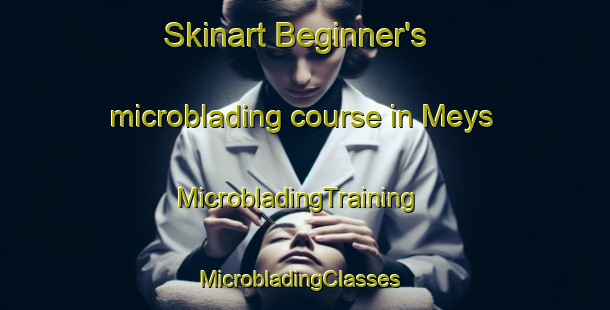 Skinart Beginner's microblading course in Meys | MicrobladingTraining | MicrobladingClasses | SkinartTraining-France