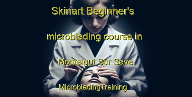 Skinart Beginner's microblading course in Montaigut Sur Save | MicrobladingTraining | MicrobladingClasses | SkinartTraining-France