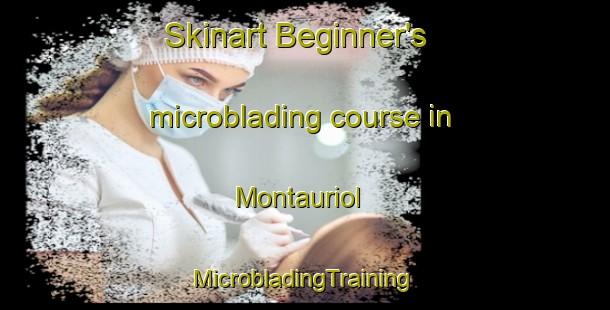 Skinart Beginner's microblading course in Montauriol | #MicrobladingTraining #MicrobladingClasses #SkinartTraining-France