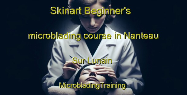 Skinart Beginner's microblading course in Nanteau Sur Lunain | #MicrobladingTraining #MicrobladingClasses #SkinartTraining-France