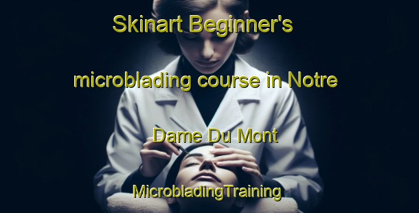 Skinart Beginner's microblading course in Notre Dame Du Mont | #MicrobladingTraining #MicrobladingClasses #SkinartTraining-France