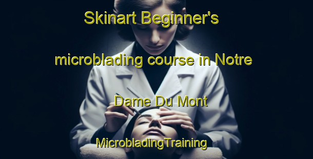 Skinart Beginner's microblading course in Notre Dame Du Mont | MicrobladingTraining | MicrobladingClasses | SkinartTraining-France