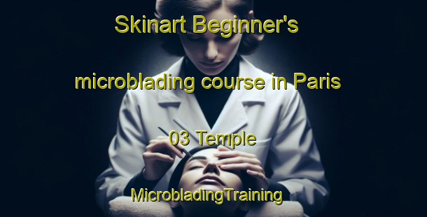 Skinart Beginner's microblading course in Paris 03 Temple | MicrobladingTraining | MicrobladingClasses | SkinartTraining-France