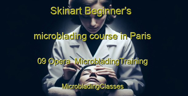 Skinart Beginner's microblading course in Paris 09 Opera | MicrobladingTraining | MicrobladingClasses | SkinartTraining-France