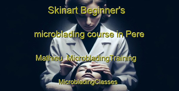 Skinart Beginner's microblading course in Pere Mathieu | MicrobladingTraining | MicrobladingClasses | SkinartTraining-France