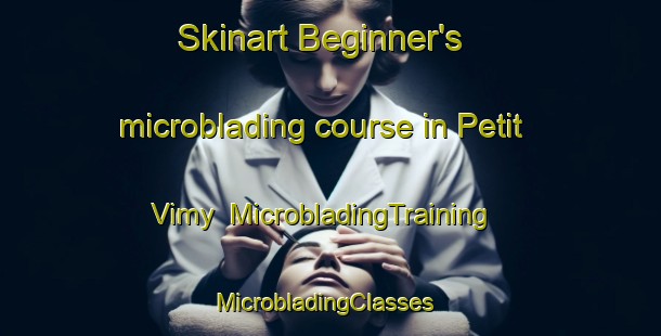 Skinart Beginner's microblading course in Petit Vimy | MicrobladingTraining | MicrobladingClasses | SkinartTraining-France