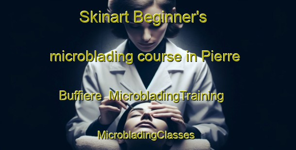 Skinart Beginner's microblading course in Pierre Buffiere | MicrobladingTraining | MicrobladingClasses | SkinartTraining-France