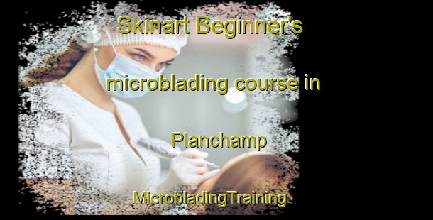 Skinart Beginner's microblading course in Planchamp | MicrobladingTraining | MicrobladingClasses | SkinartTraining-France