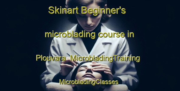 Skinart Beginner's microblading course in Plouvara | MicrobladingTraining | MicrobladingClasses | SkinartTraining-France