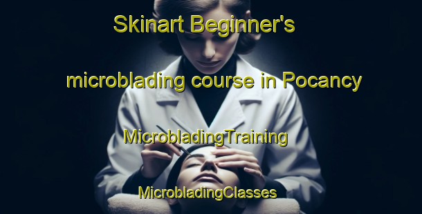 Skinart Beginner's microblading course in Pocancy | MicrobladingTraining | MicrobladingClasses | SkinartTraining-France
